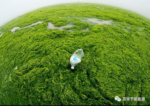 環(huán)保企業(yè)注意了 企業(yè)投資項(xiàng)目事中事后監(jiān)管辦法 自2018年2月4日起施行