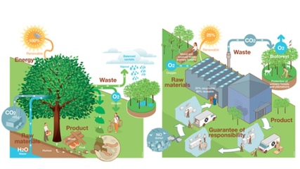 廚房革命:污染、浪費(fèi)大作戰(zhàn)
